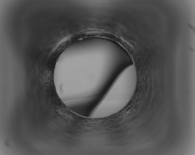 X0000093161351200709261028