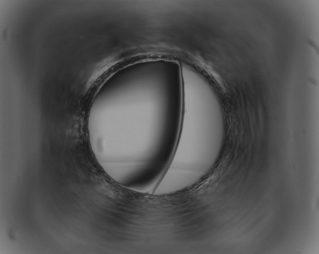 X0000093161352200709261028