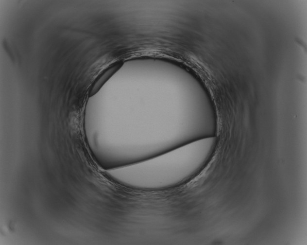 X0000093161353200709261028