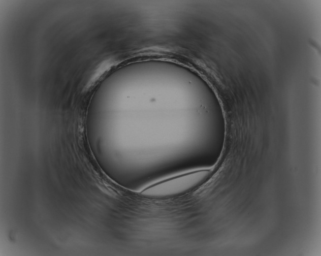 X0000093161355200709261028