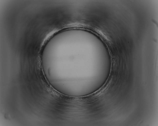 X0000093161358200709261028