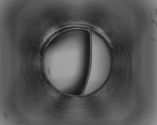 X0000093161360200709261028