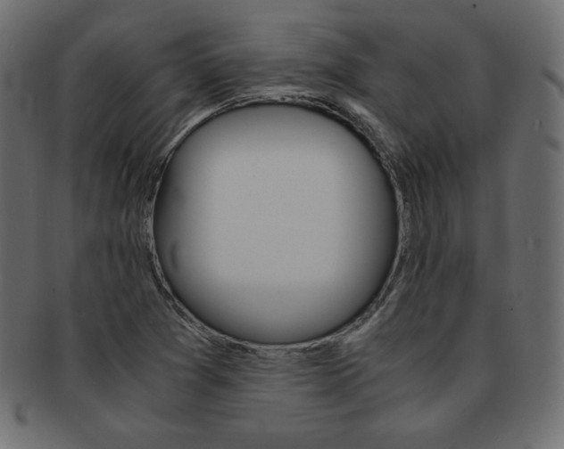 X0000093161361200709261028