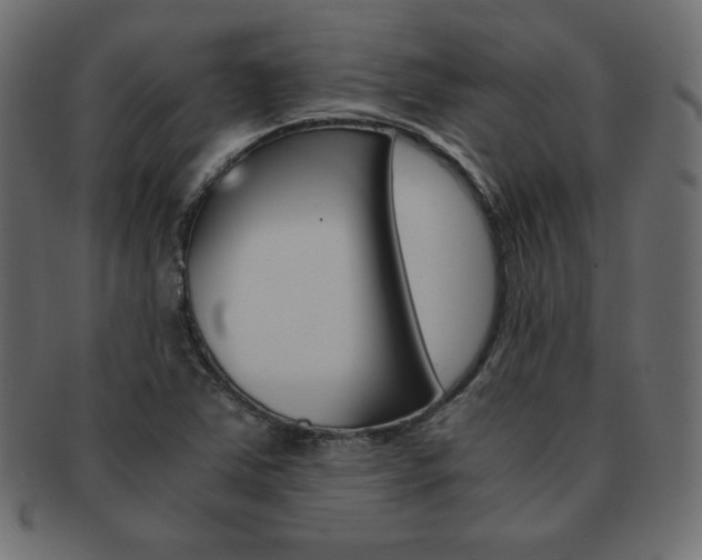 X0000093161363200709261028