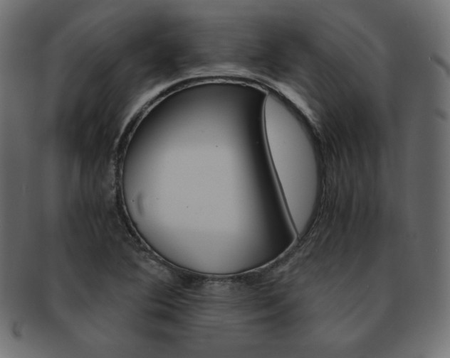 X0000093161364200709261028