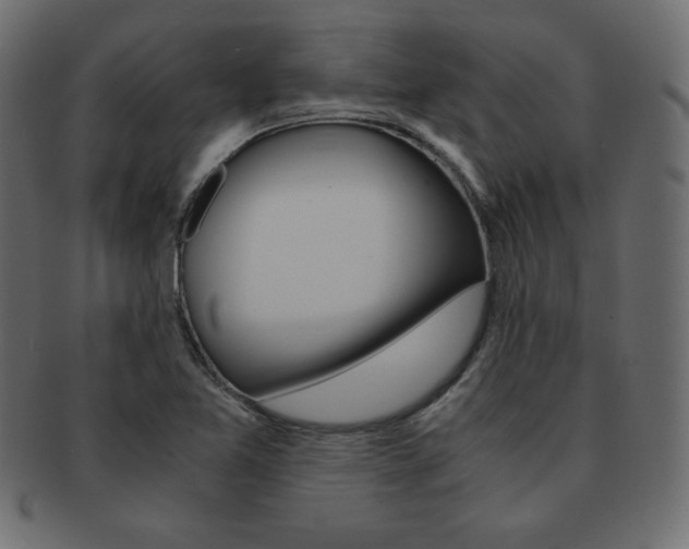 X0000093161365200709261028