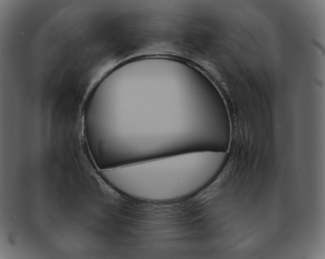 X0000093161366200709261028