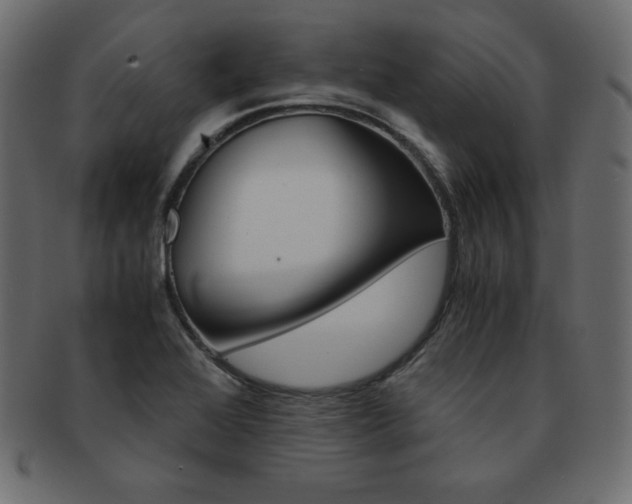 X0000093161368200709261028