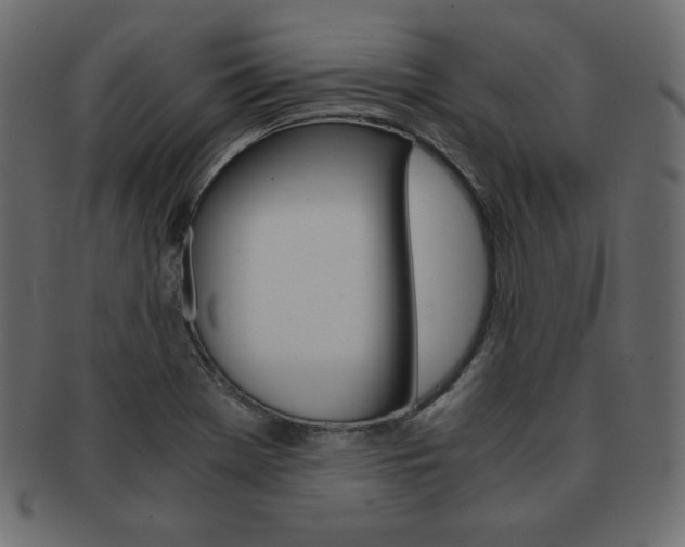 X0000093161369200709261027