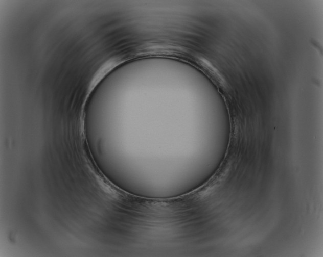 X0000093161370200709261027