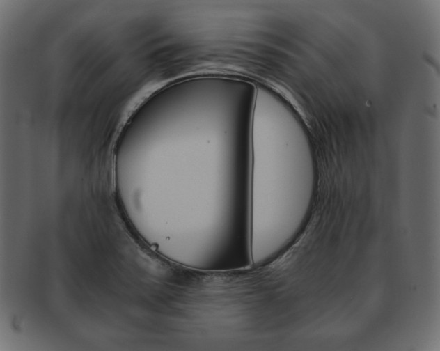 X0000093161371200709261027