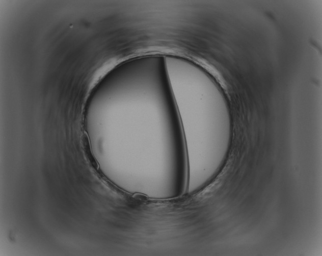 X0000093161373200709261027