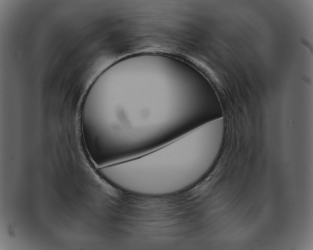 X0000093161375200709261027