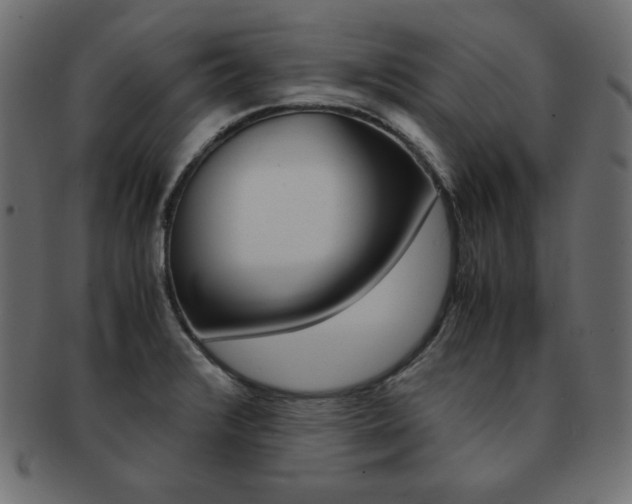 X0000093161376200709261027