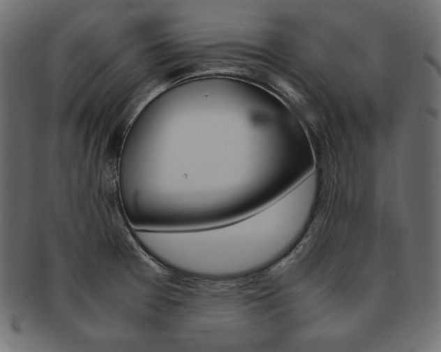 X0000093161377200709261027