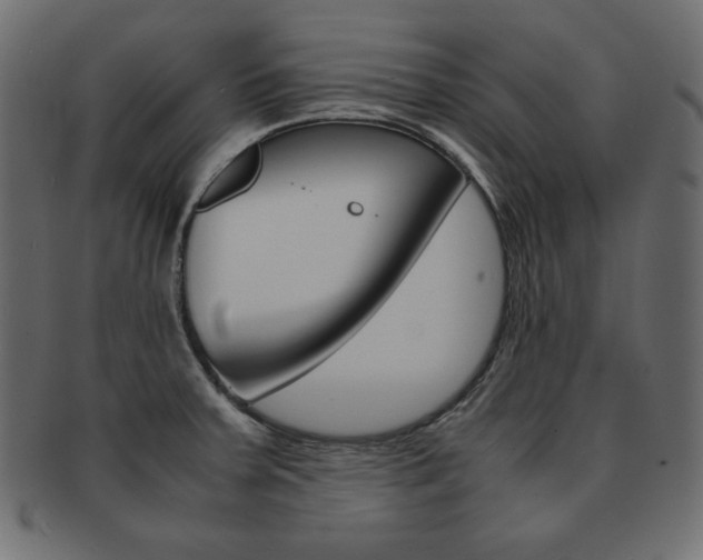 X0000093161379200709261027