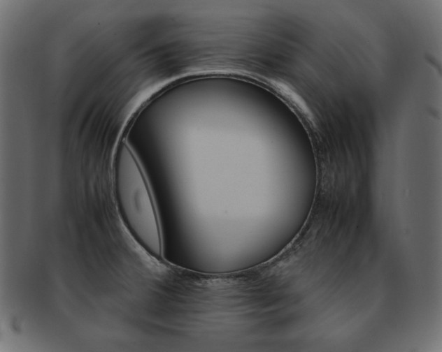 X0000093161380200709261027