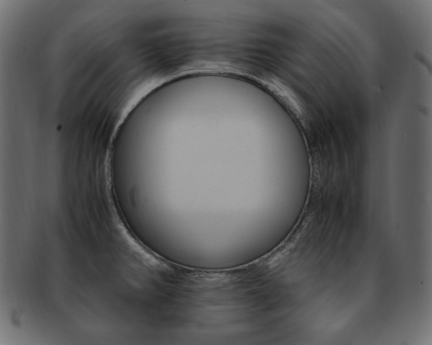 X0000093161382200709261027