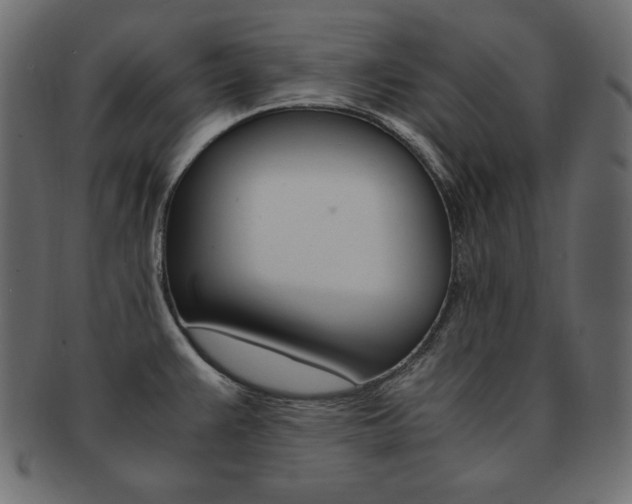 X0000093161383200709261027