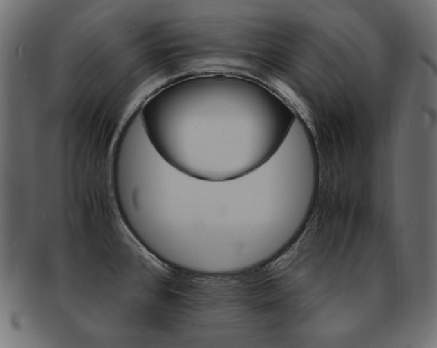 X0000093161384200709261027