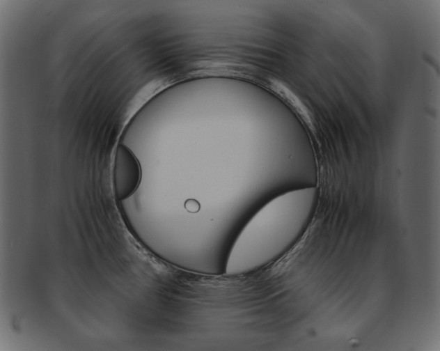 X0000093161386200709261027