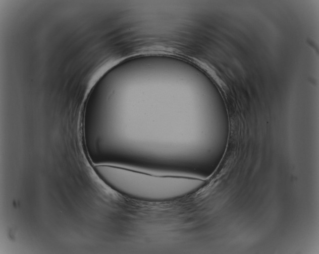 X0000093161387200709261027