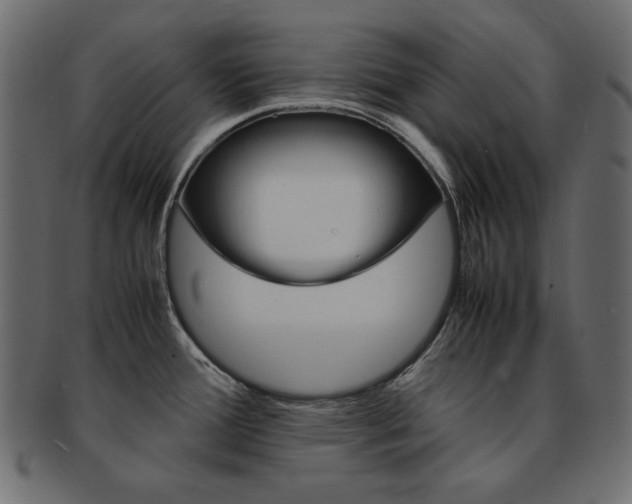 X0000093161388200709261027