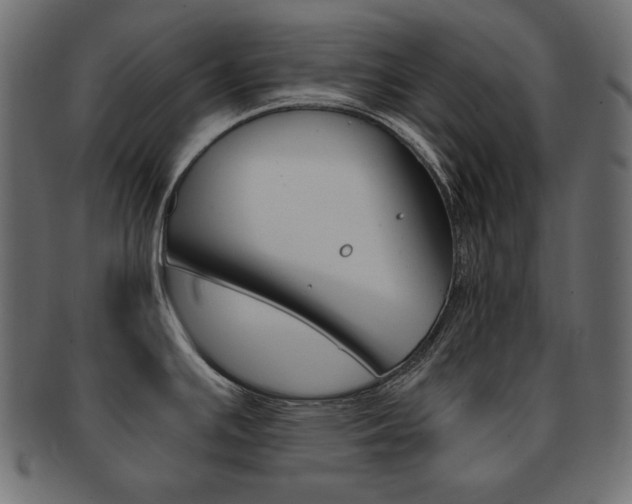 X0000093161391200709261027
