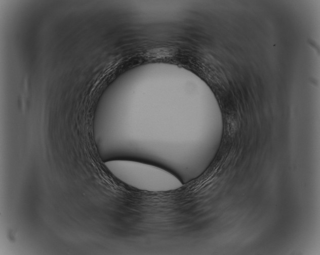 X0000093161393200709261026