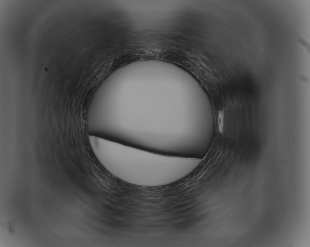 X0000093161395200709261027