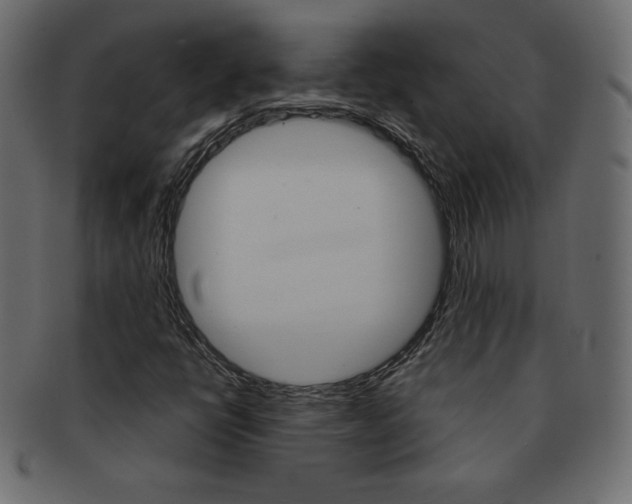 X0000093161398200709261027