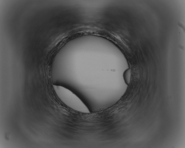X0000093161399200709261027