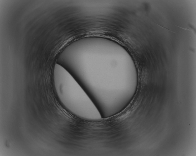 X0000093161401200709261027