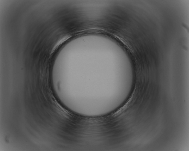 X0000093161402200709261027