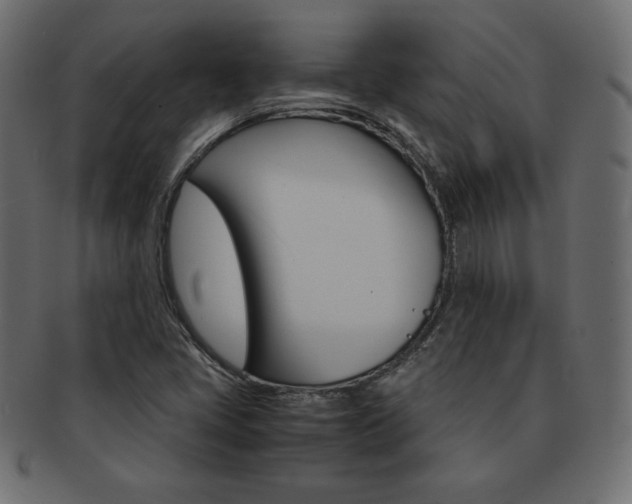 X0000093161405200709261027