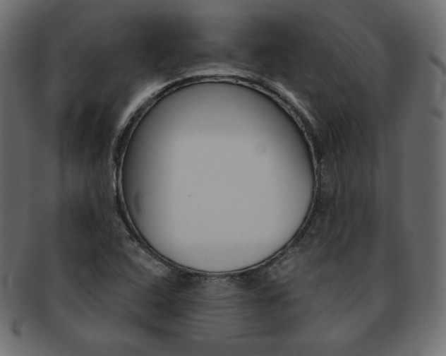 X0000093161408200709261027