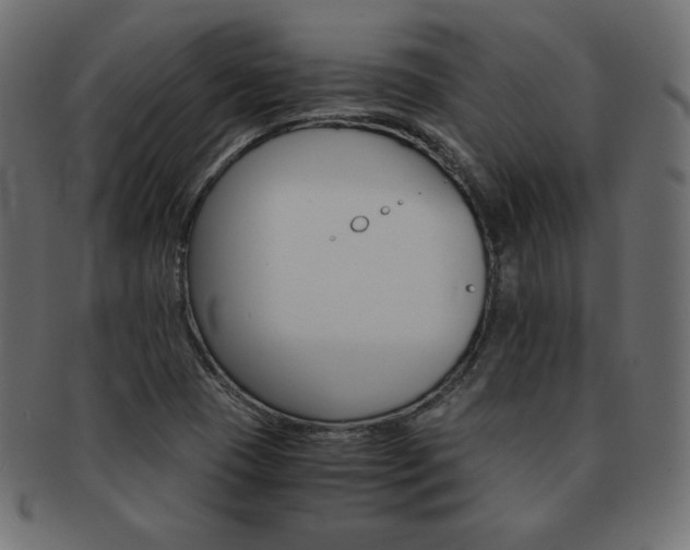 X0000093161409200709261027