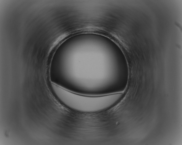 X0000093161410200709261027