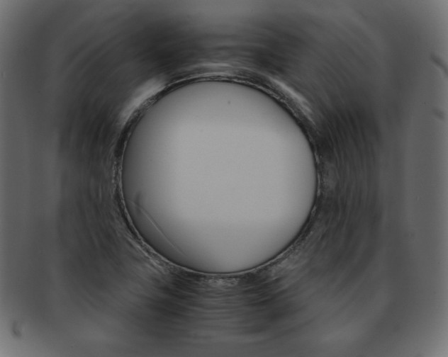 X0000093161411200709261027