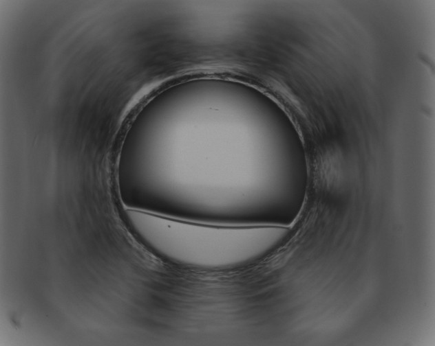 X0000093161412200709261027