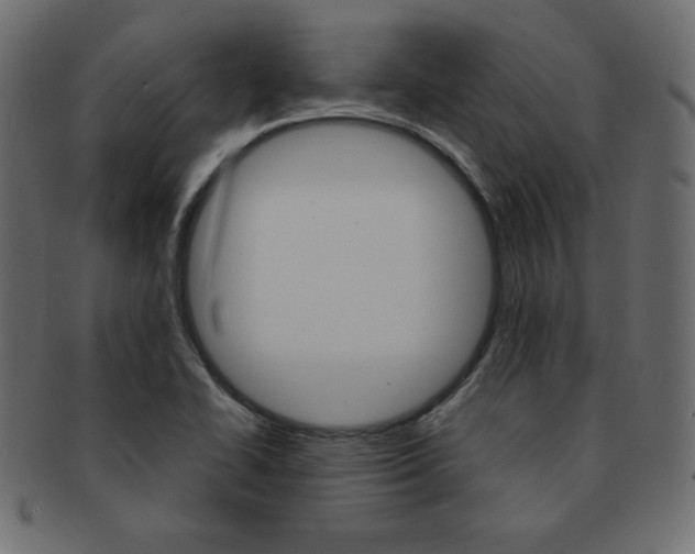 X0000093161414200709261027