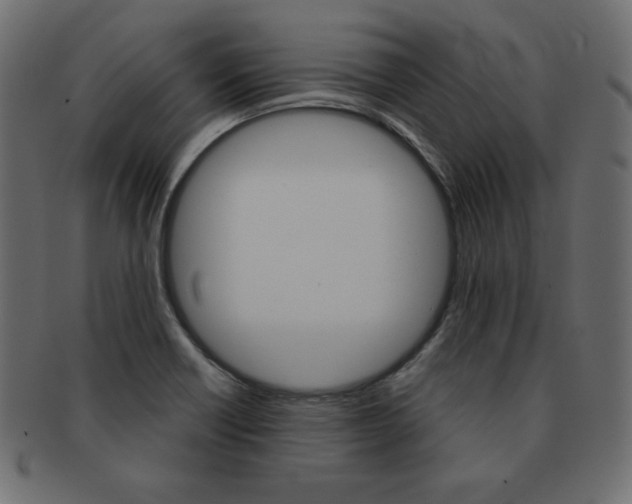 X0000093161418200709261027