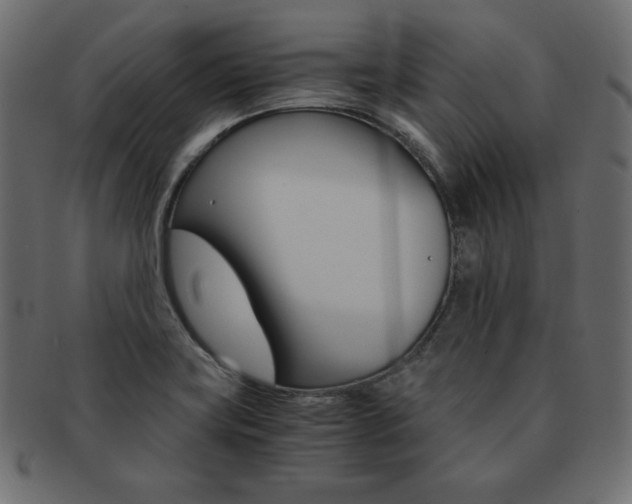 X0000093161419200709261027