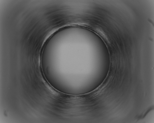 X0000093161420200709261027