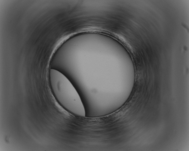 X0000093161421200709261027