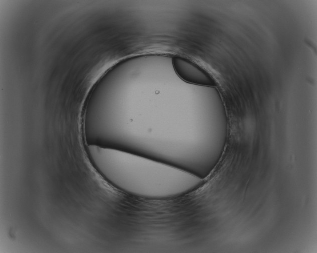 X0000093161423200709261027