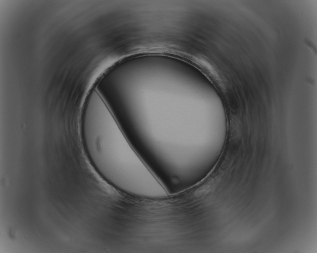 X0000093161424200709261027