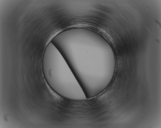 X0000093161425200709261027