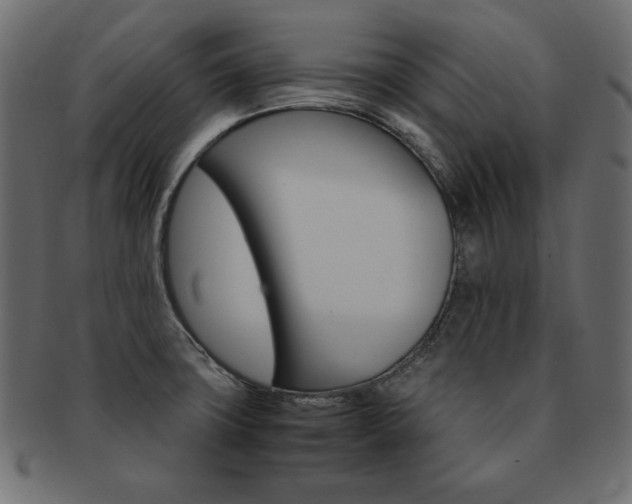 X0000093161427200709261027