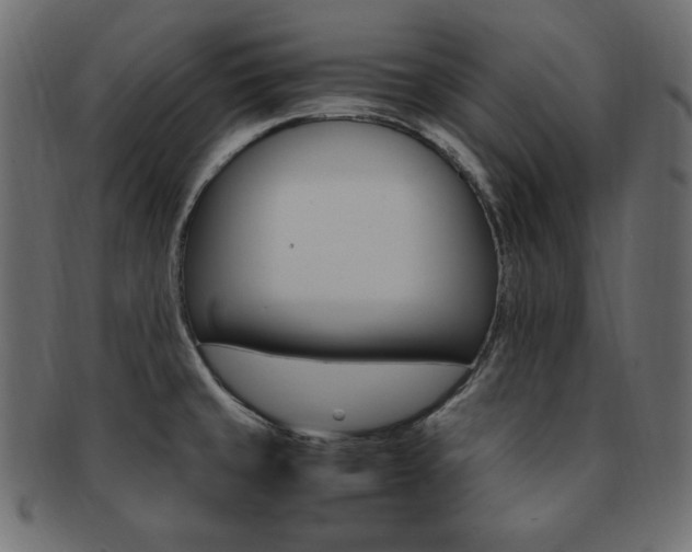 X0000093161429200709261027